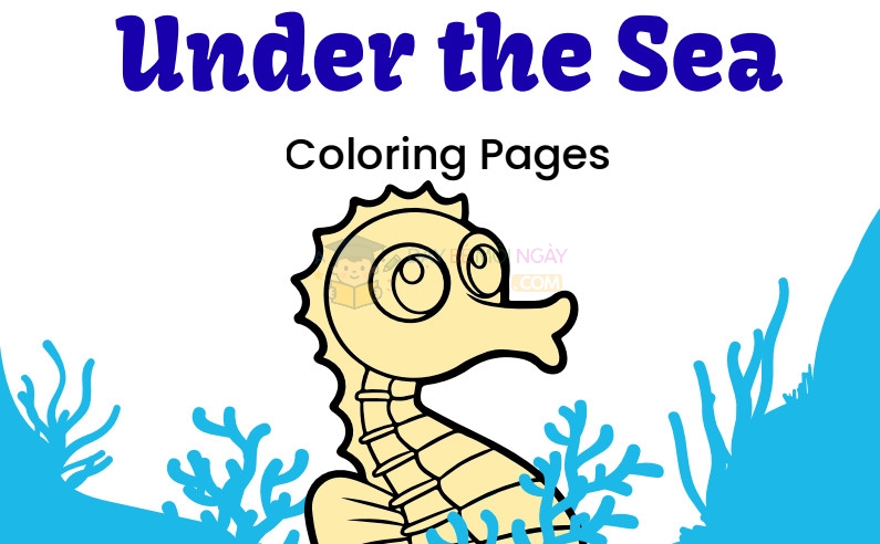 Tranh tô màu sinh vật biển tiếng anh