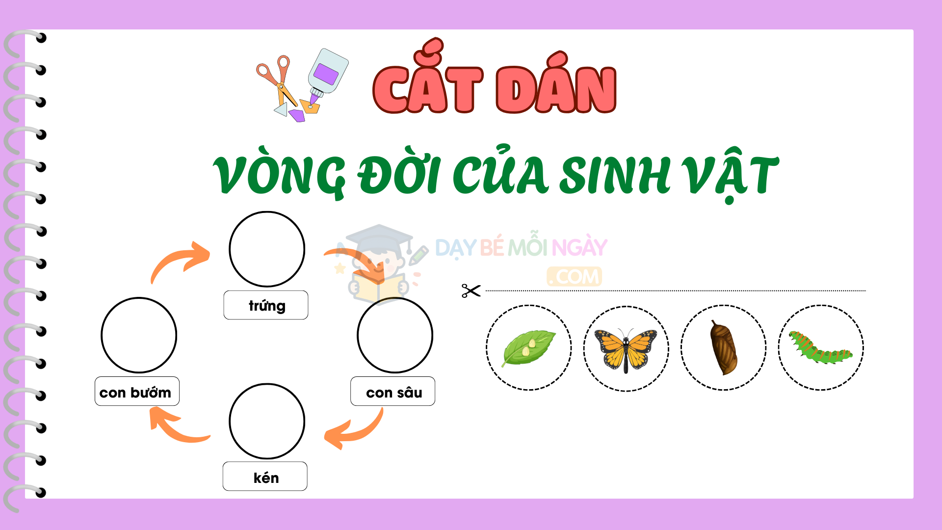 Cắt dán vòng đời của các sinh vật